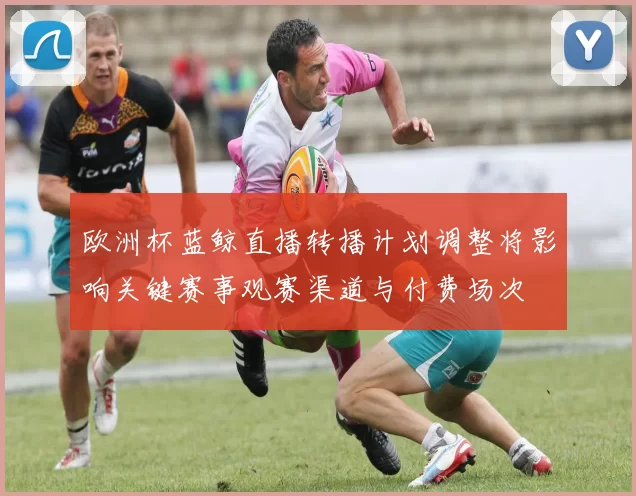 欧洲杯蓝鲸直播转播计划调整将影响关键赛事观赛渠道与付费场次