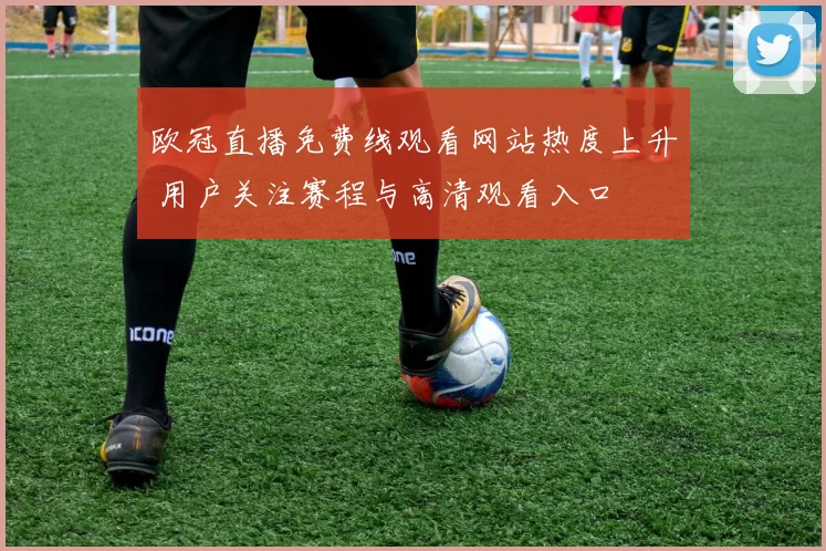 欧冠直播免费线观看网站热度上升 用户关注赛程与高清观看入口