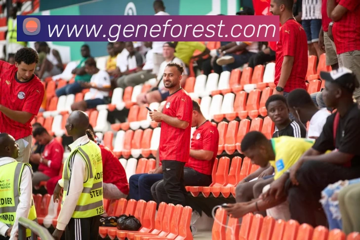 App Interface Preview